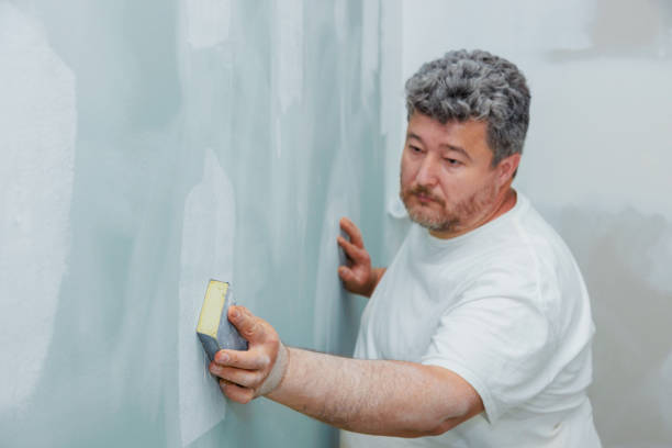 Best Drywall Crack Repair  in Egan, LA